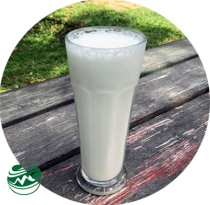 mcsg_milkshake-vanilla