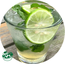 mcsg_mocktail-classicmojito